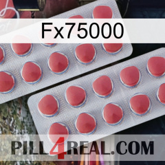Fx75000 19